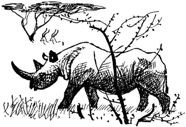 Каждой былинке брат - _37.jpg