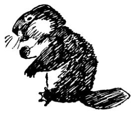 Каждой былинке брат - _38.jpg