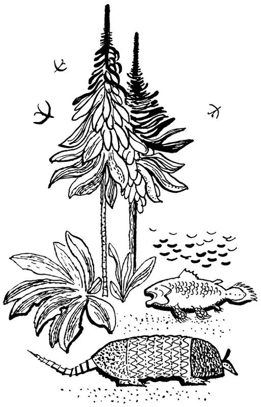 Каждой былинке брат - _39.jpg_0