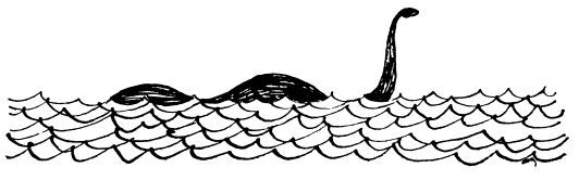 Каждой былинке брат - _40.jpg