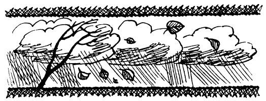 Каждой былинке брат - _41.jpg