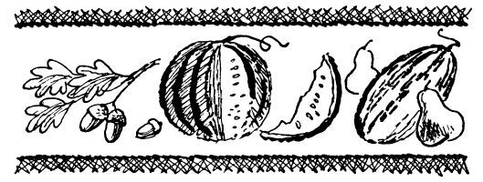 Каждой былинке брат - _42.jpg