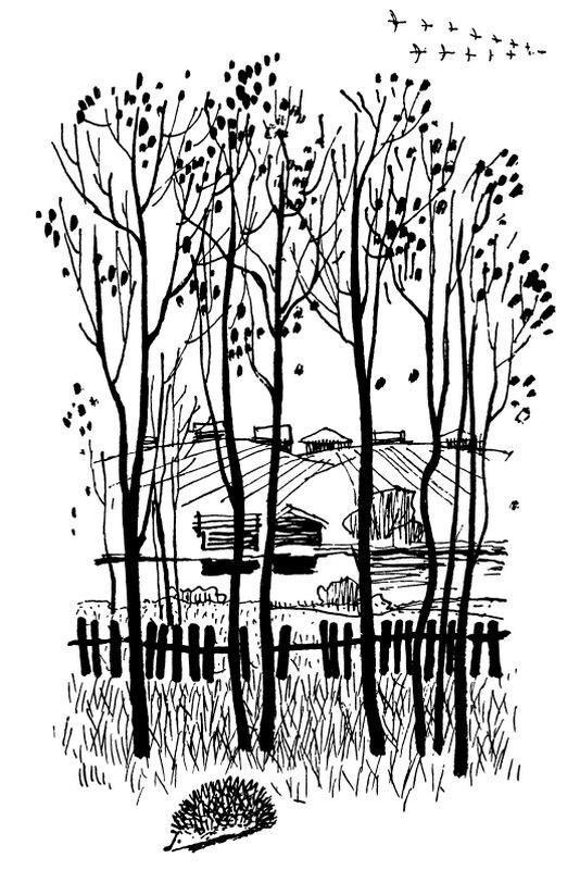 Каждой былинке брат - _43.jpg