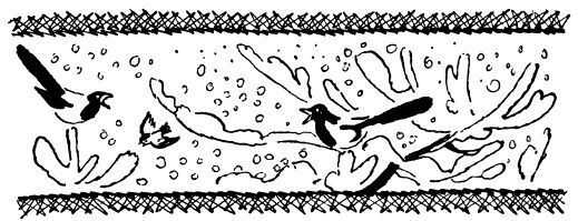 Каждой былинке брат - _46.jpg