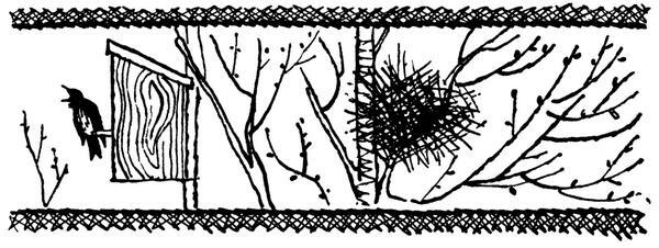 Каждой былинке брат - _51.jpg