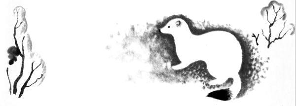 Каждой былинке брат - _56.jpg_0