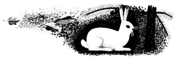 Каждой былинке брат - _58.jpg_0