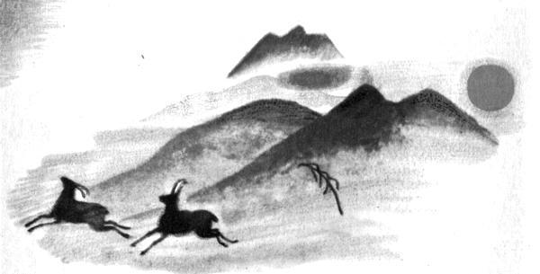 Каждой былинке брат - _64.jpg