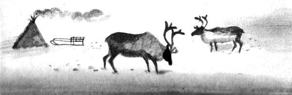 Каждой былинке брат - _65.jpg