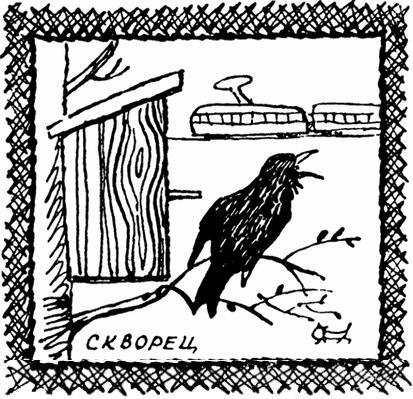 Каждой былинке брат - _71.jpg