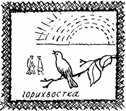 Каждой былинке брат - _72.jpg