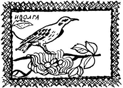 Каждой былинке брат - _76.jpg