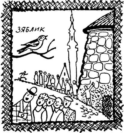 Каждой былинке брат - _78.jpg