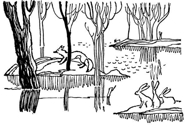 Каждой былинке брат - _86.jpg