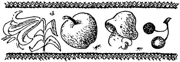 Каждой былинке брат - _88.jpg