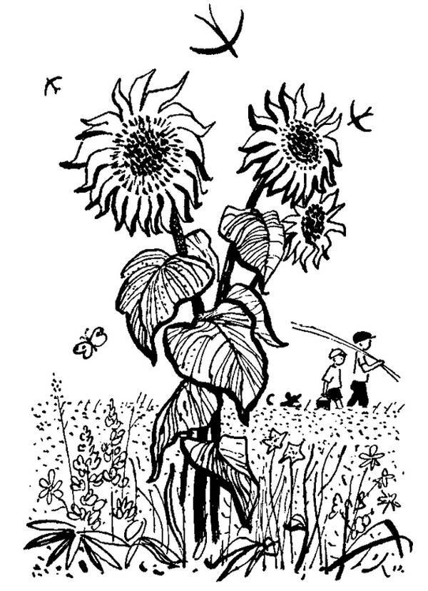 Каждой былинке брат - _89.jpg