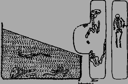 Тайны Русского каганата - g52.png