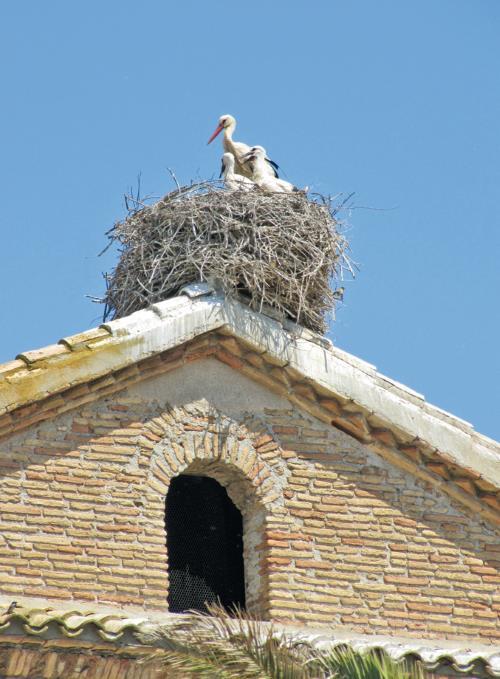 Испания изнутри. Как на самом деле живут в стране фламенко и сиесты? - i_075.jpg