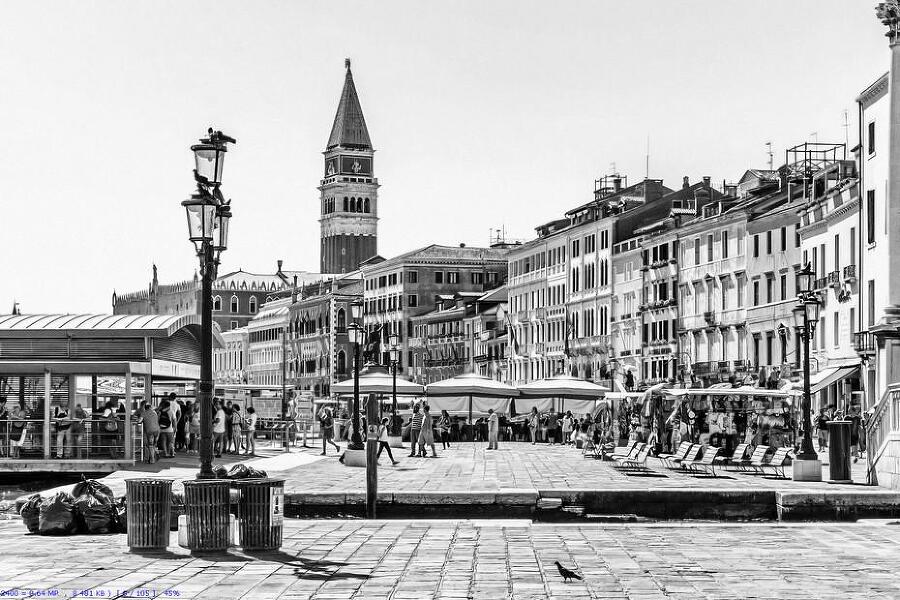 Венеция. Полная история города - i_040.jpg