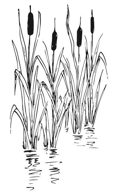 Дыхание озера - i_002.jpg