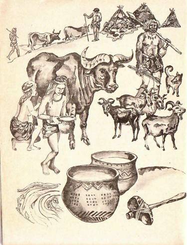 Будем знакомы: Я – молоко! - pic_10.jpg