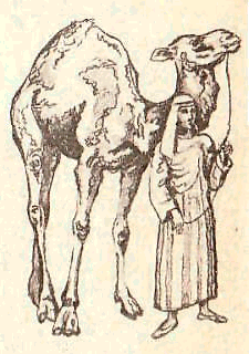 Будем знакомы: Я – молоко! - pic_12.png