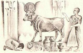 Будем знакомы: Я – молоко! - pic_14.jpg