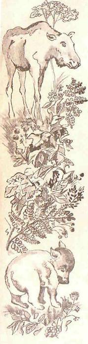 Будем знакомы: Я – молоко! - pic_3.jpg