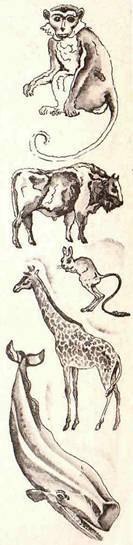 Будем знакомы: Я – молоко! - pic_6.jpg