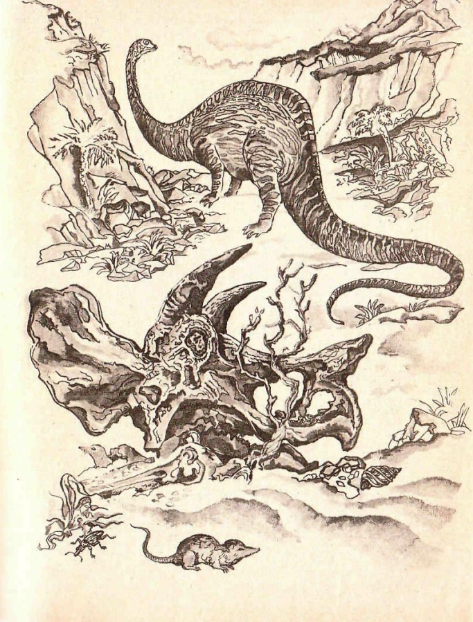 Будем знакомы: Я – молоко! - pic_8.jpg