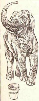 Будем знакомы: Я – молоко! - pic_22.jpg