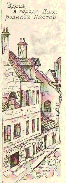 Будем знакомы: Я – молоко! - pic_36.png