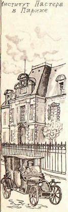 Будем знакомы: Я – молоко! - pic_38.jpg