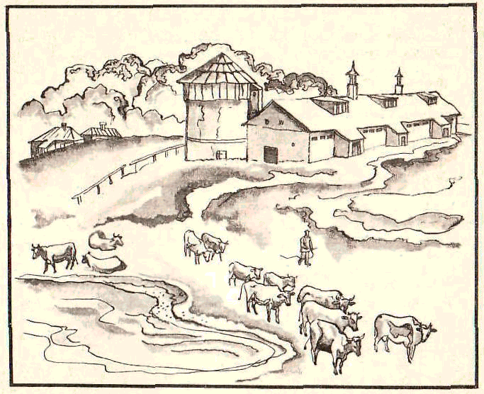 Будем знакомы: Я – молоко! - pic_43.png