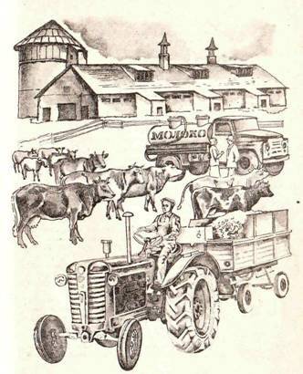 Будем знакомы: Я – молоко! - pic_45.jpg