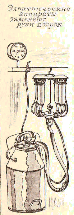 Будем знакомы: Я – молоко! - pic_46.png