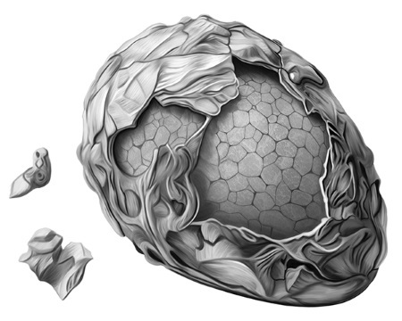 Пепел жизни - i_006.jpg