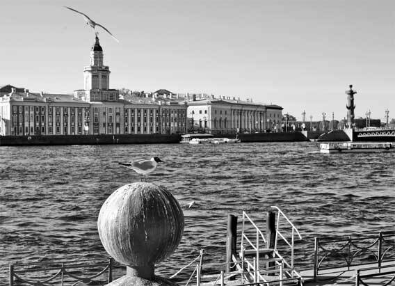 Петербург манящий. Старые тайны, уютные уголки, сладости из детства - i_007.jpg