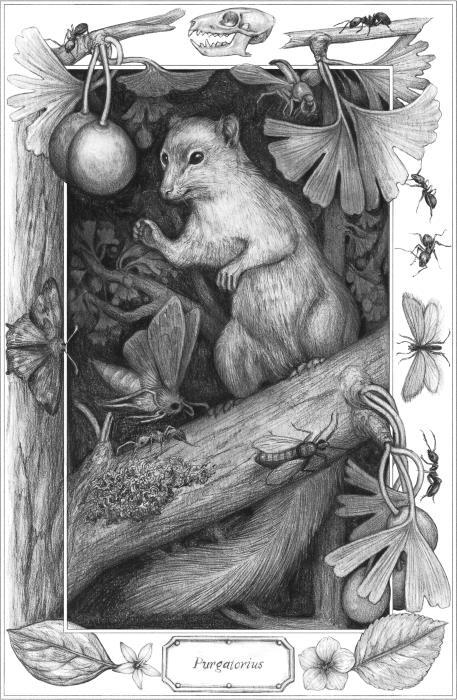 ЕВА. История эволюции женского тела. История человечества - i_012.jpg