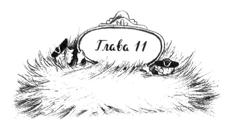 Дикая Софи - i_015.jpg