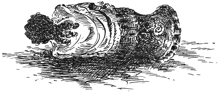 Цвет мести - i_003.png