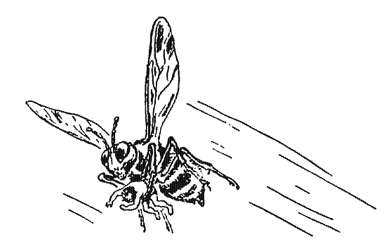 Собрание сочинений Яна Ларри. Том второй - i_020.jpg