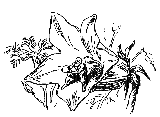 Собрание сочинений Яна Ларри. Том второй - i_023.jpg