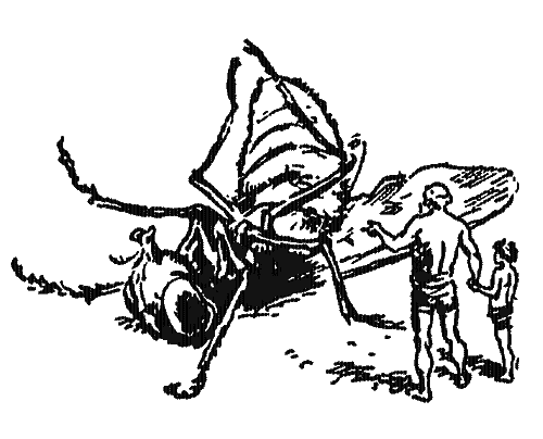 Собрание сочинений Яна Ларри. Том второй - i_026.jpg