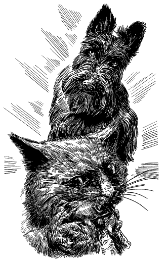 Собрание сочинений Яна Ларри. Том второй - i_101.png