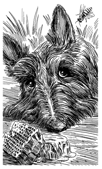 Собрание сочинений Яна Ларри. Том второй - i_104.png