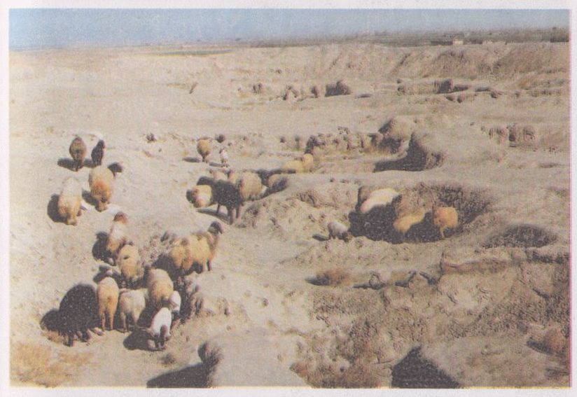 Автостопом в Судан - i_043.jpg