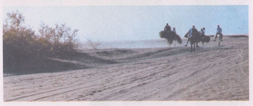 Автостопом в Судан - i_071.jpg