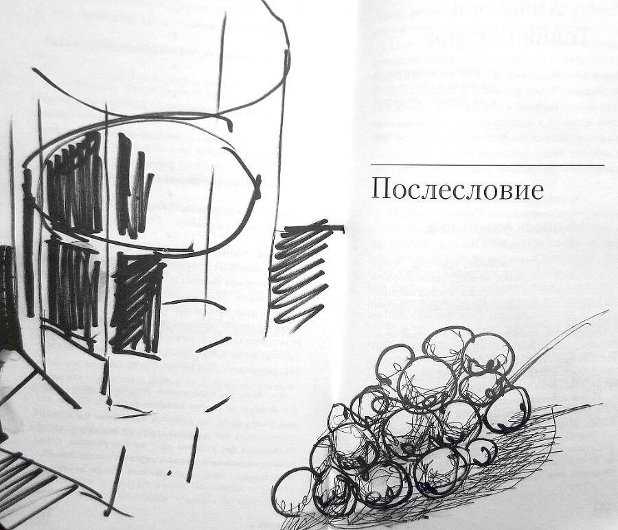 Одиссея Тонино - i_015.jpg