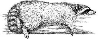 Полукровка (ЛП) - _2.jpg